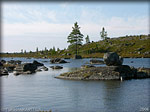 DSCN1448