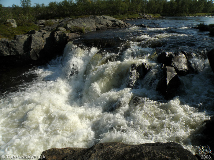 P8193728