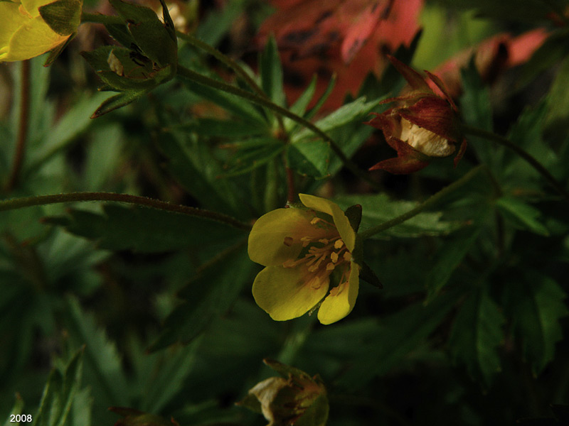 P8173361