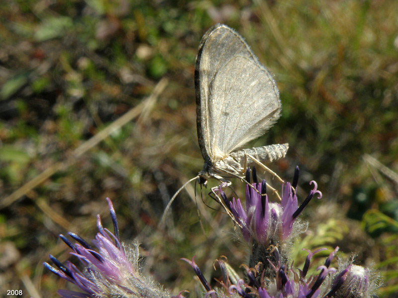 P8183493