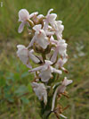 P8082573