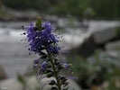 P8173419