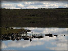P8052275