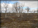 P8092638