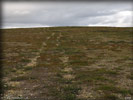 P8092676