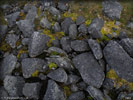 P8102820