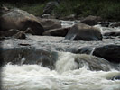 P8173410