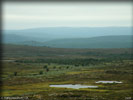 P8203774