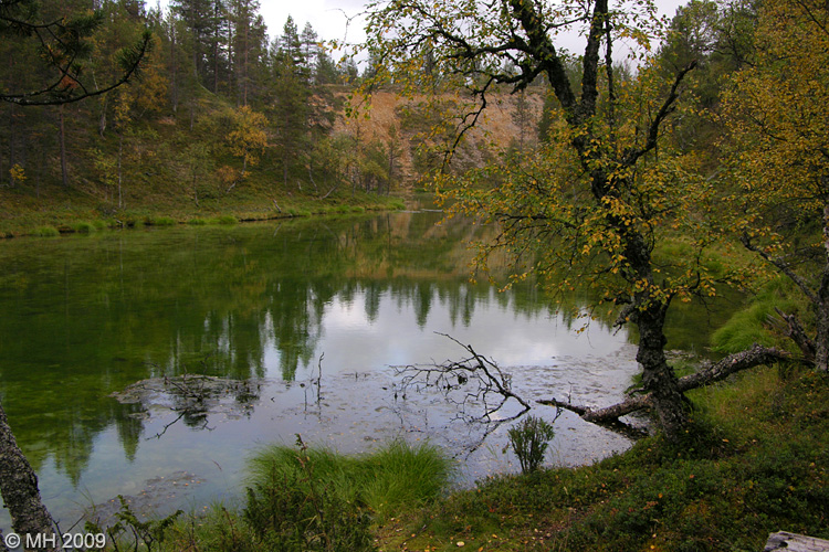 012-DSCN7774