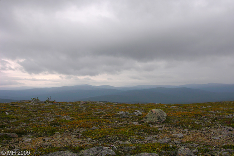 029-DSCN7843