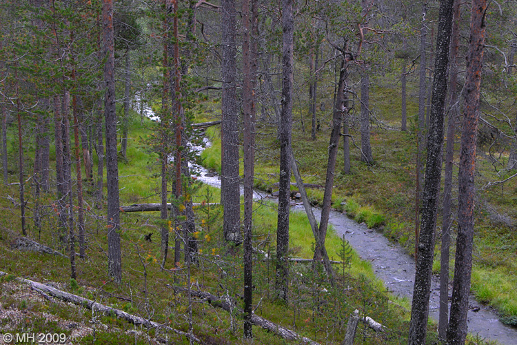 034-DSCN7863