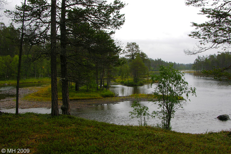 035-DSCN7865