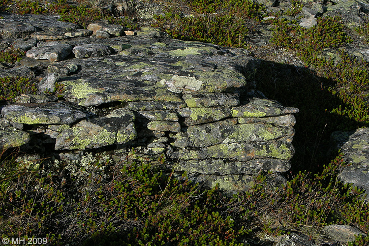 081-DSCN8001