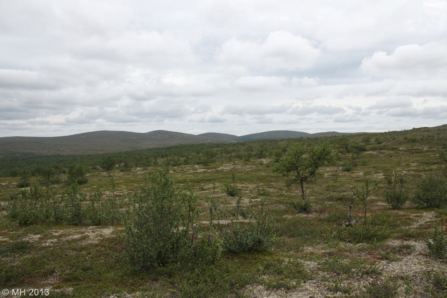 018-Muotka-2013