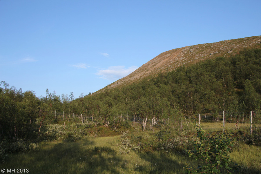 041-Muotka-2013