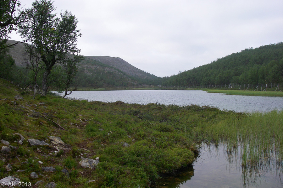 049-Muotka-2013