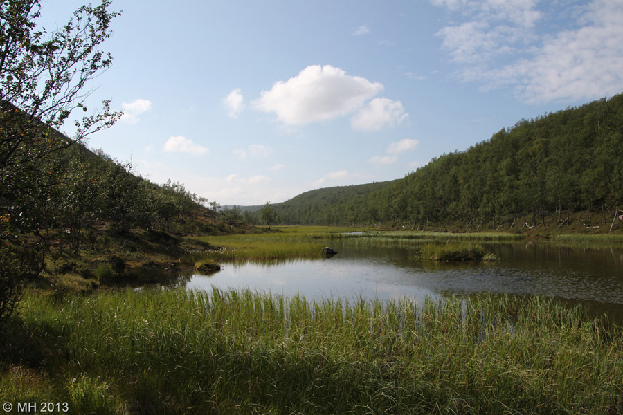 050-Muotka-2013