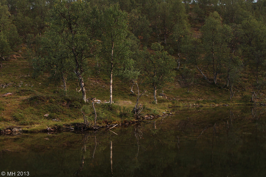 055-Muotka-2013