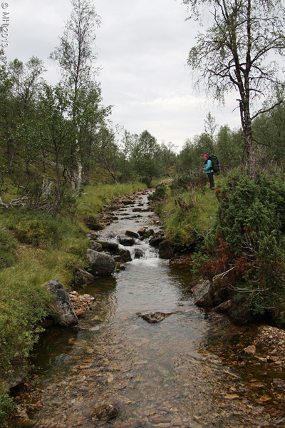 056-Muotka-2013