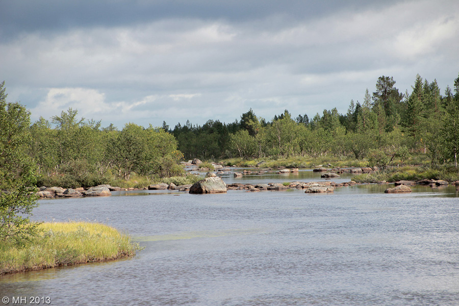 130-Muotka-2013