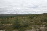 018-Muotka-2013