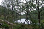 046-Muotka-2013