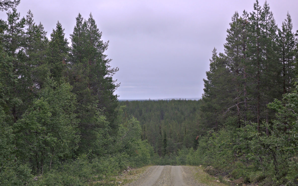 054-DSCN8521