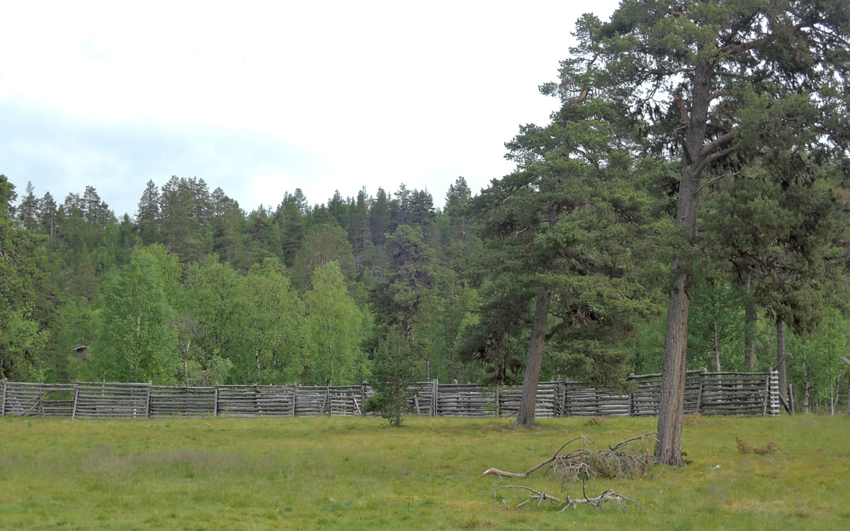 061-DSCN8602