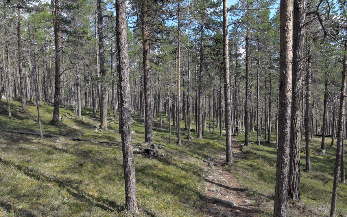 078-DSCN8720