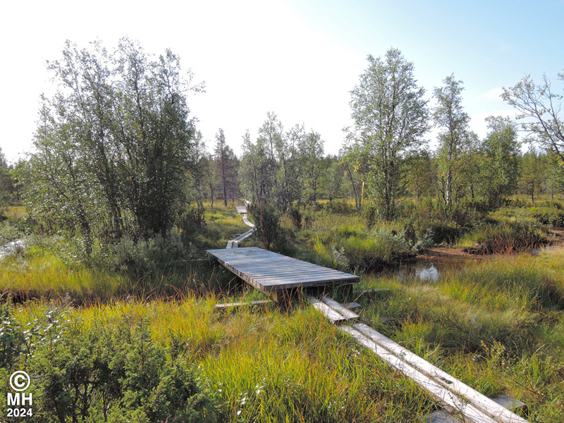 17-08-03DSCN8888