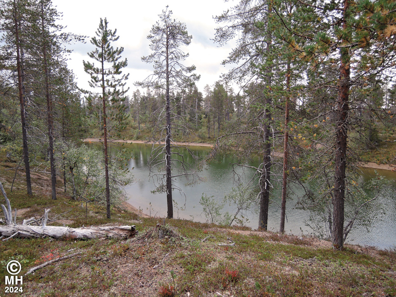 19-08-03DSCN9127