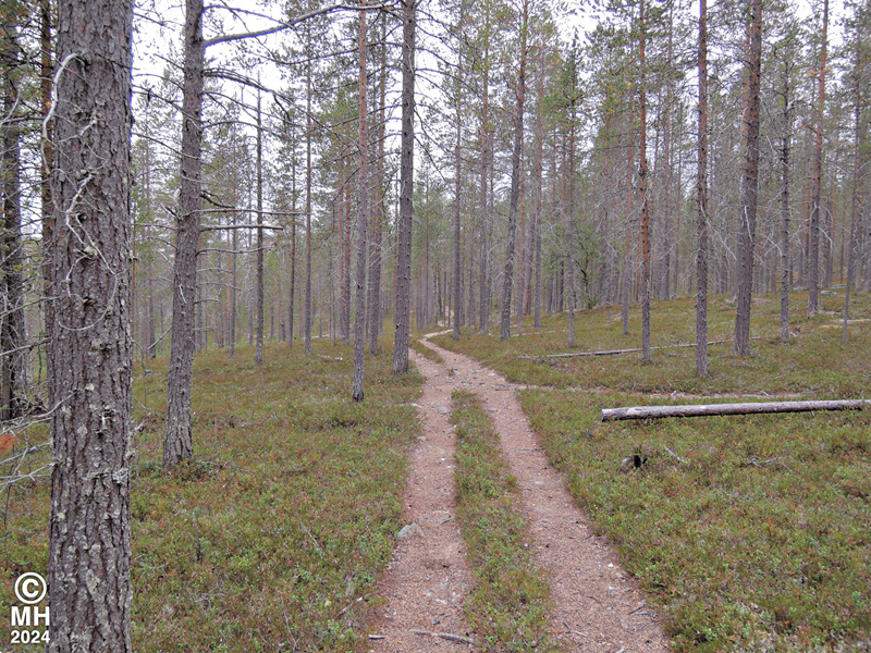 21-08-03DSCN9254