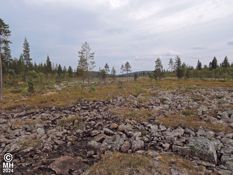 22-08-03DSCN9316