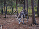 17-08-01DSCN8874