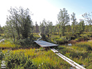 17-08-03DSCN8888