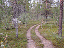 17-08-10DSCN8936