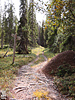 17-08-12DSCN8945