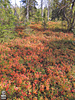 18-08-03DSCN9023
