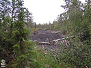 19-08-04DSCN9128