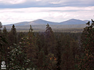 19-08-05DSCN9130