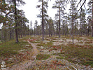 19-08-12DSCN9172
