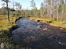 20-08-11DSCN9235