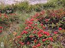 21-08-11DSCN9304