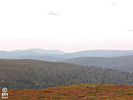 22-08-01DSCN9311