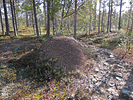23-08-03DSCN9377