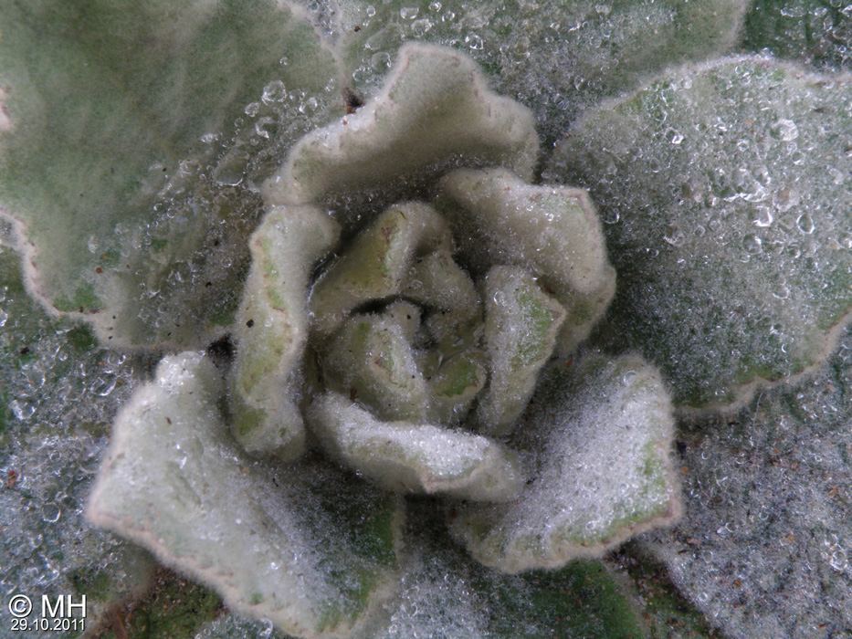 022-PA297544