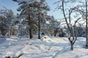 026-IMG_1021