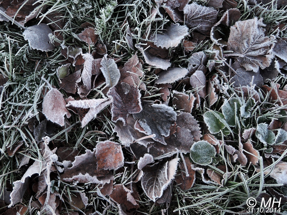 74-DSCN4321