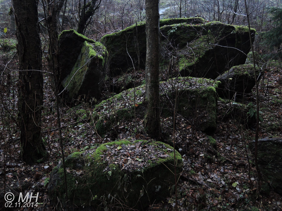 75-DSCN4339
