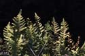 08-IMG_4592